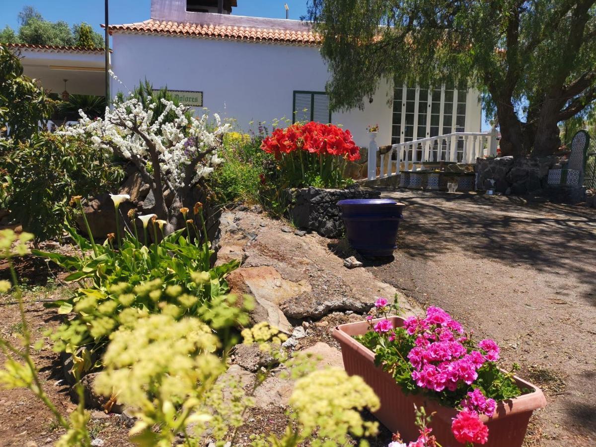 Casa Rural Dolores En Adeje Costa Adeje  Exterior photo
